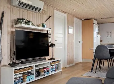 Ferienhaus 161-ringkobing-lodbergsvej-321 *